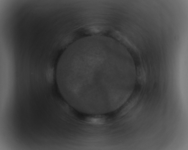 X0000101110563200807101511