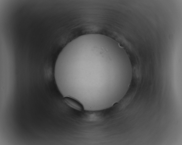 X0000101110564200807101511
