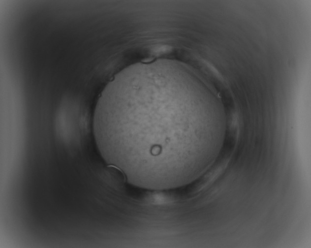 X0000101110565200807101511
