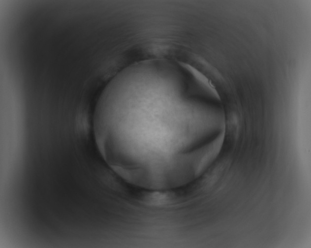 X0000101110566200807101511