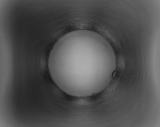 X0000101110569200807101512