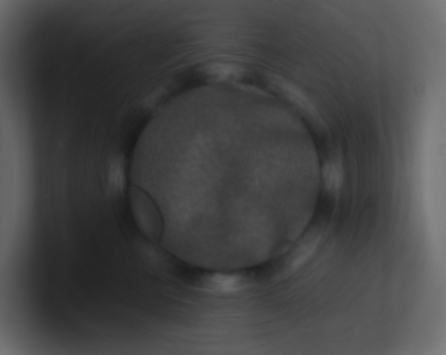 X0000101110570200807101512
