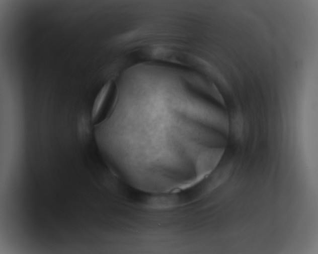 X0000101110571200807101512