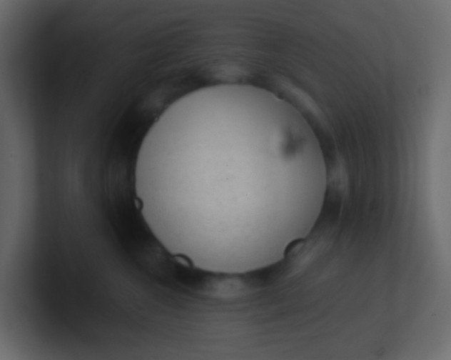 X0000101110572200807101512
