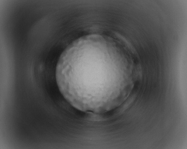 X0000101110573200807101512