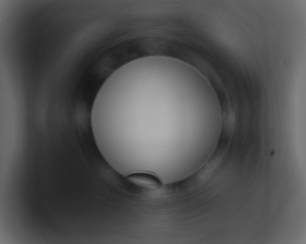 X0000101110574200807101512
