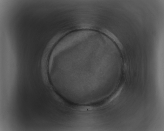 X0000101110577200807101511