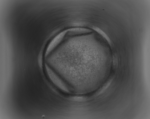X0000101110581200807101511