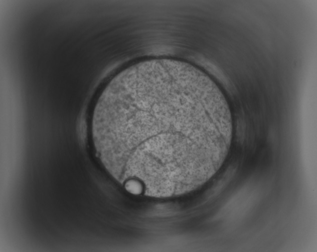 X0000101110584200807101511