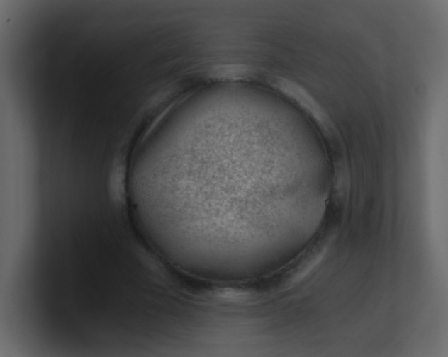 X0000101110585200807101511