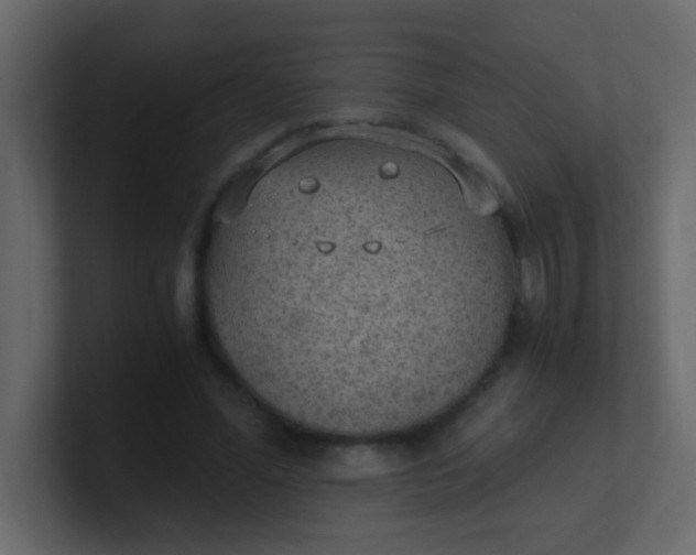 X0000101110588200807101511