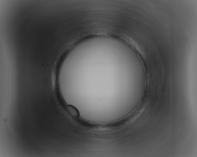 X0000101110589200807101511