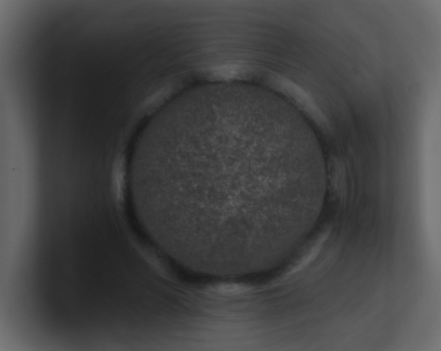 X0000101110590200807101511