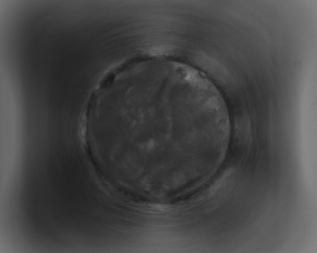 X0000101110592200807101511