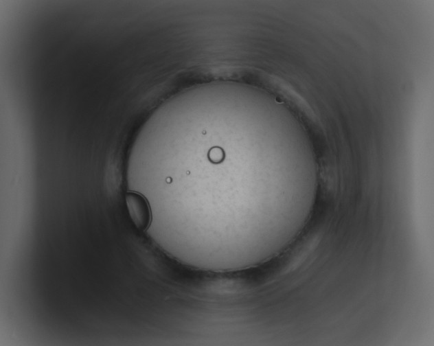 X0000101110593200807101511