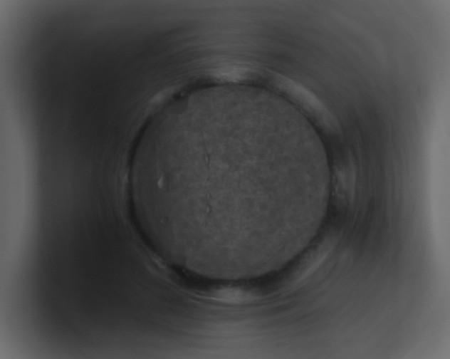 X0000101110596200807101511