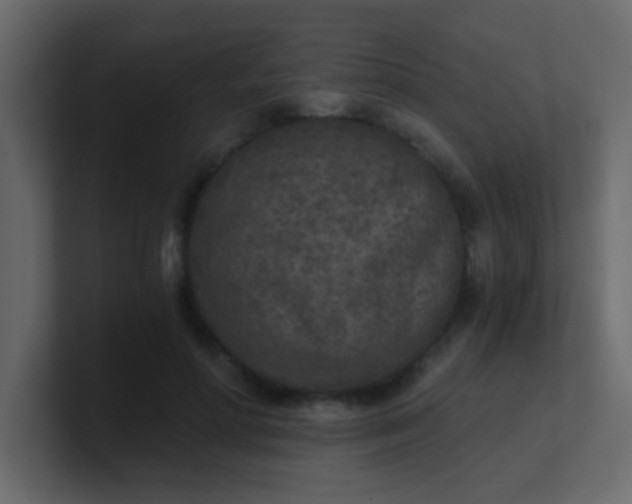 X0000101110598200807101511