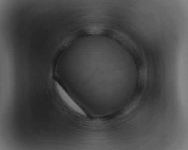 X0000101110600200807101511