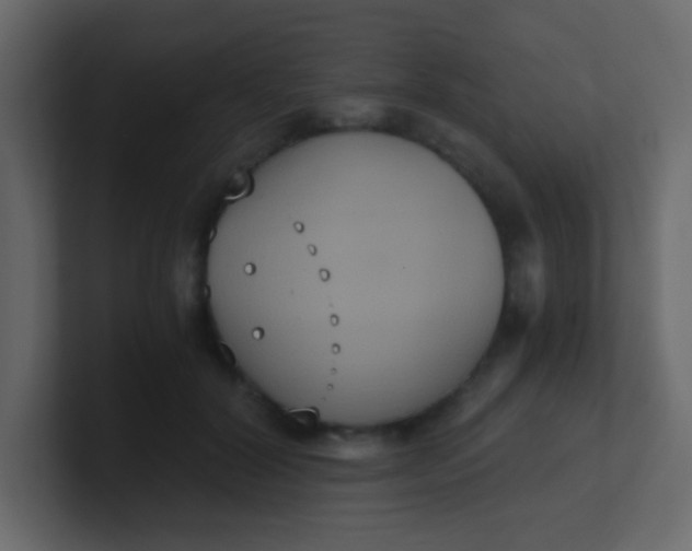X0000101110604200807101511