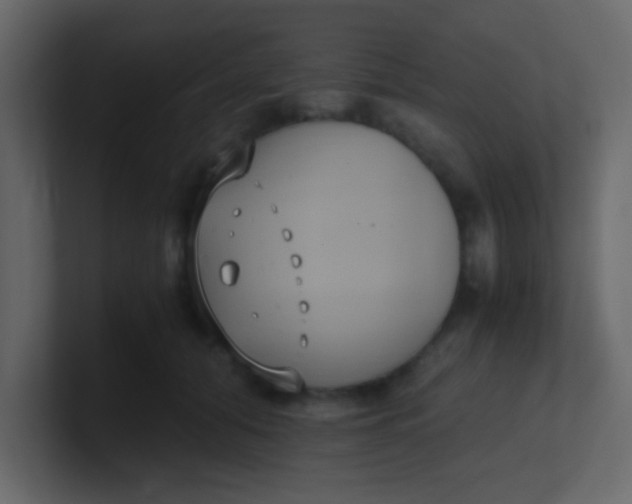 X0000101110608200807101511