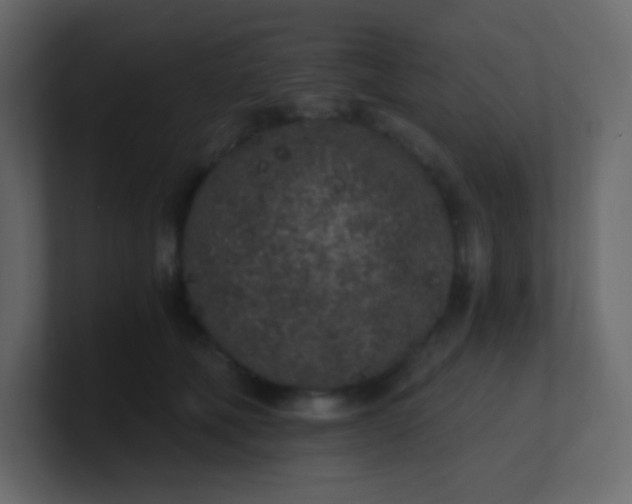 X0000101110610200807101511