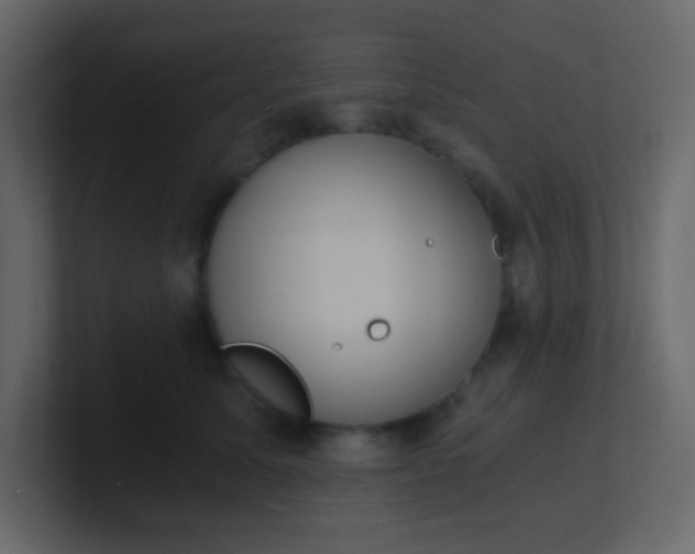 X0000101110611200807101510