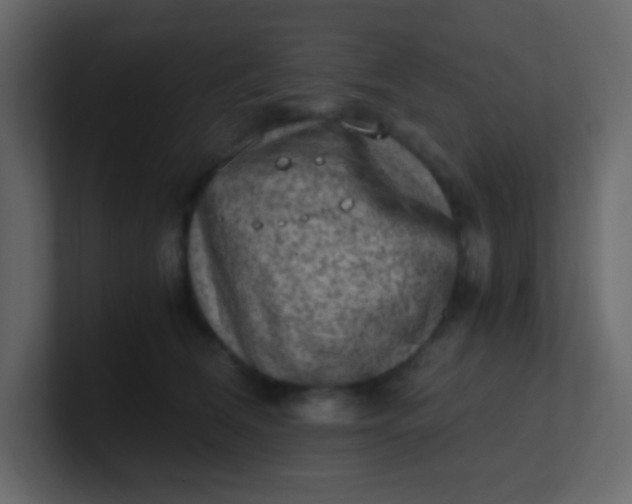 X0000101110612200807101510