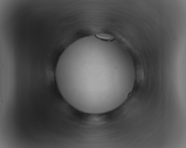 X0000101110613200807101510