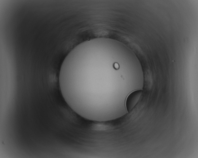 X0000101110614200807101510