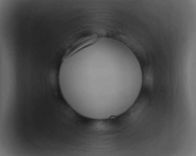 X0000101110616200807101510