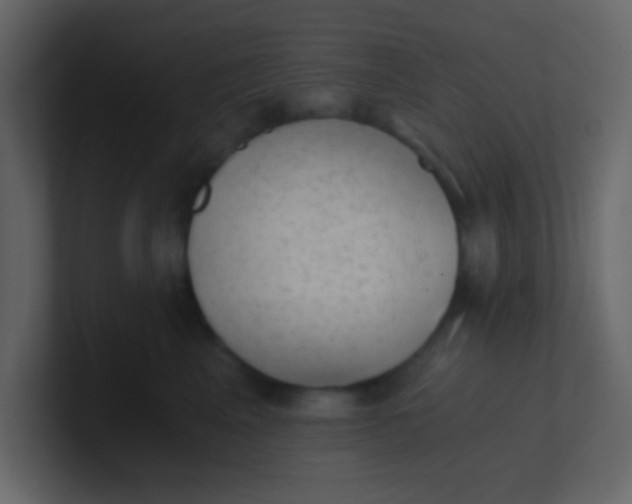 X0000101110617200807101510