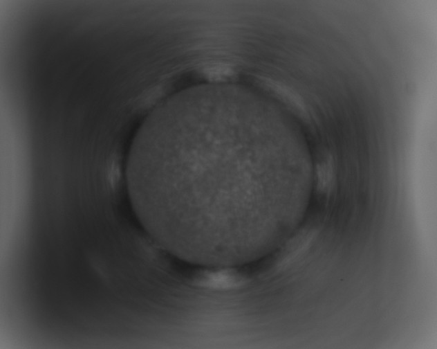 X0000101110618200807101510