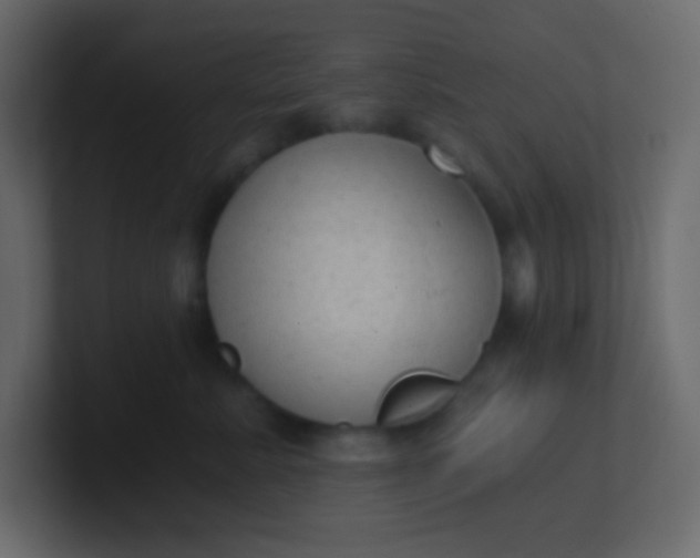 X0000101110619200807101510