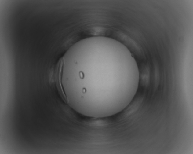 X0000101110620200807101510