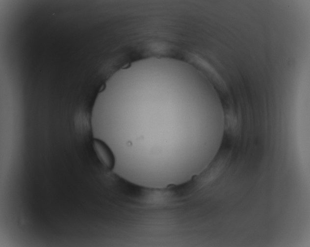 X0000101110621200807101510