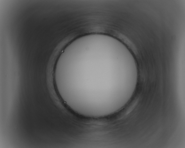 X0000101110625200807101510