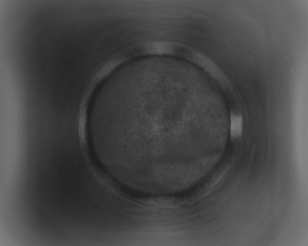 X0000101110627200807101510