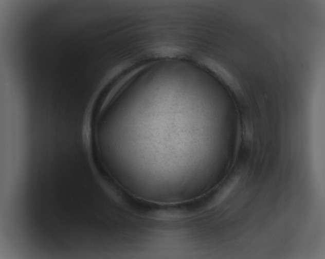 X0000101110630200807101510
