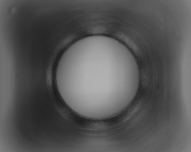 X0000101110631200807101510