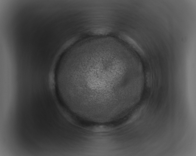 X0000101110634200807101510