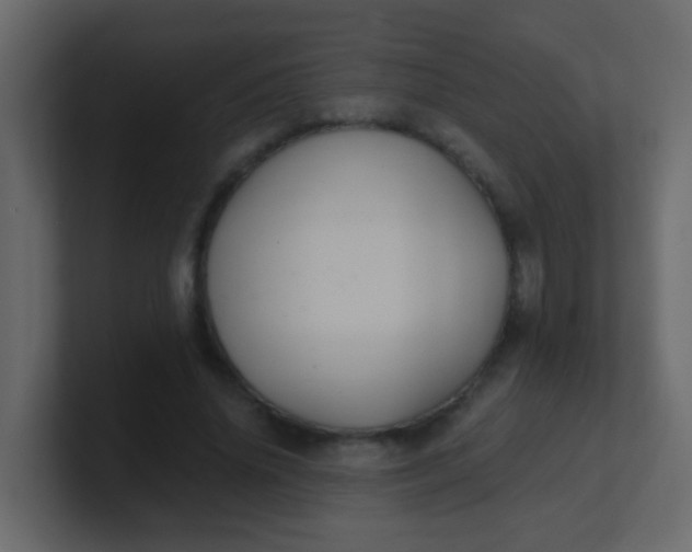X0000101110636200807101510
