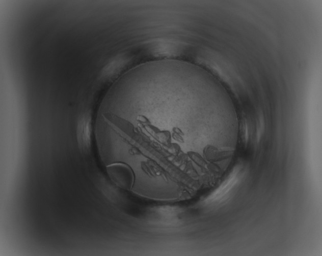 X0000101110637200807101510