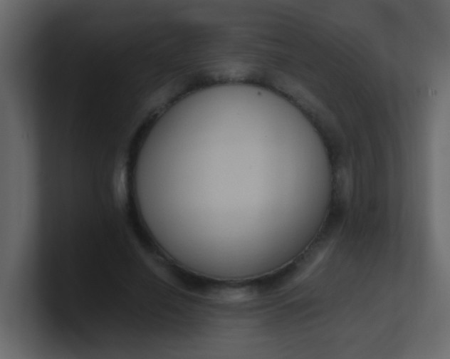 X0000101110638200807101510