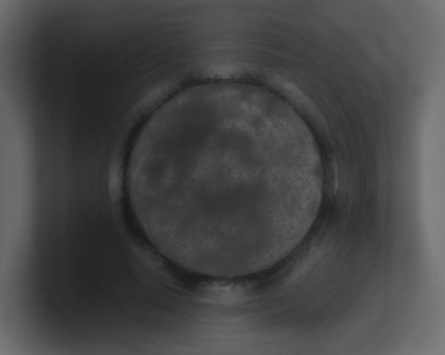 X0000101110640200807101510