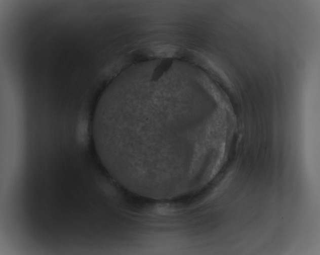 X0000101110641200807101510