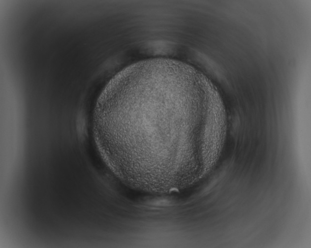 X0000101110643200807101510