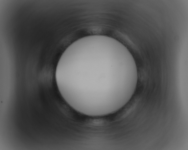 X0000101110645200807101510