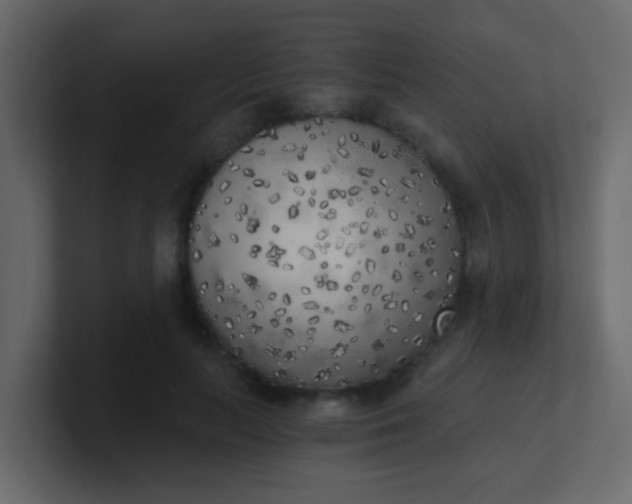 X0000101110647200807101510
