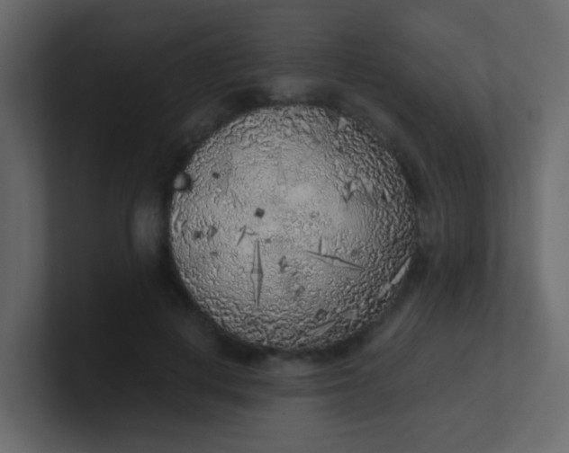 X0000101110648200807101510