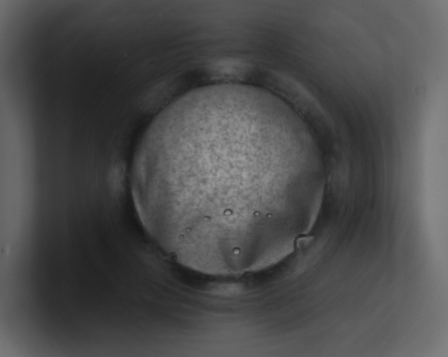 X0000101110649200807101510